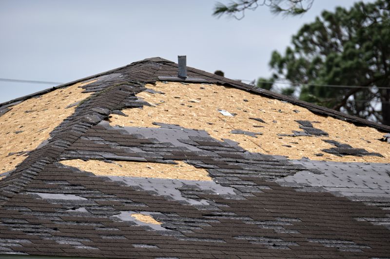 Storm Damage Roof Repair detail